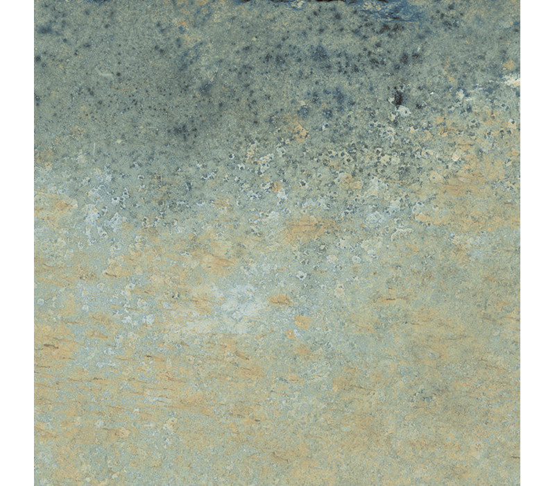 NUSA BOTANIC 25X25 CM MAT NON RECTIFIÉ ANTIDERAPANT