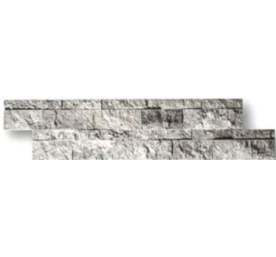 PAREMENT TRAVERTIN SILVER 15X61 CM